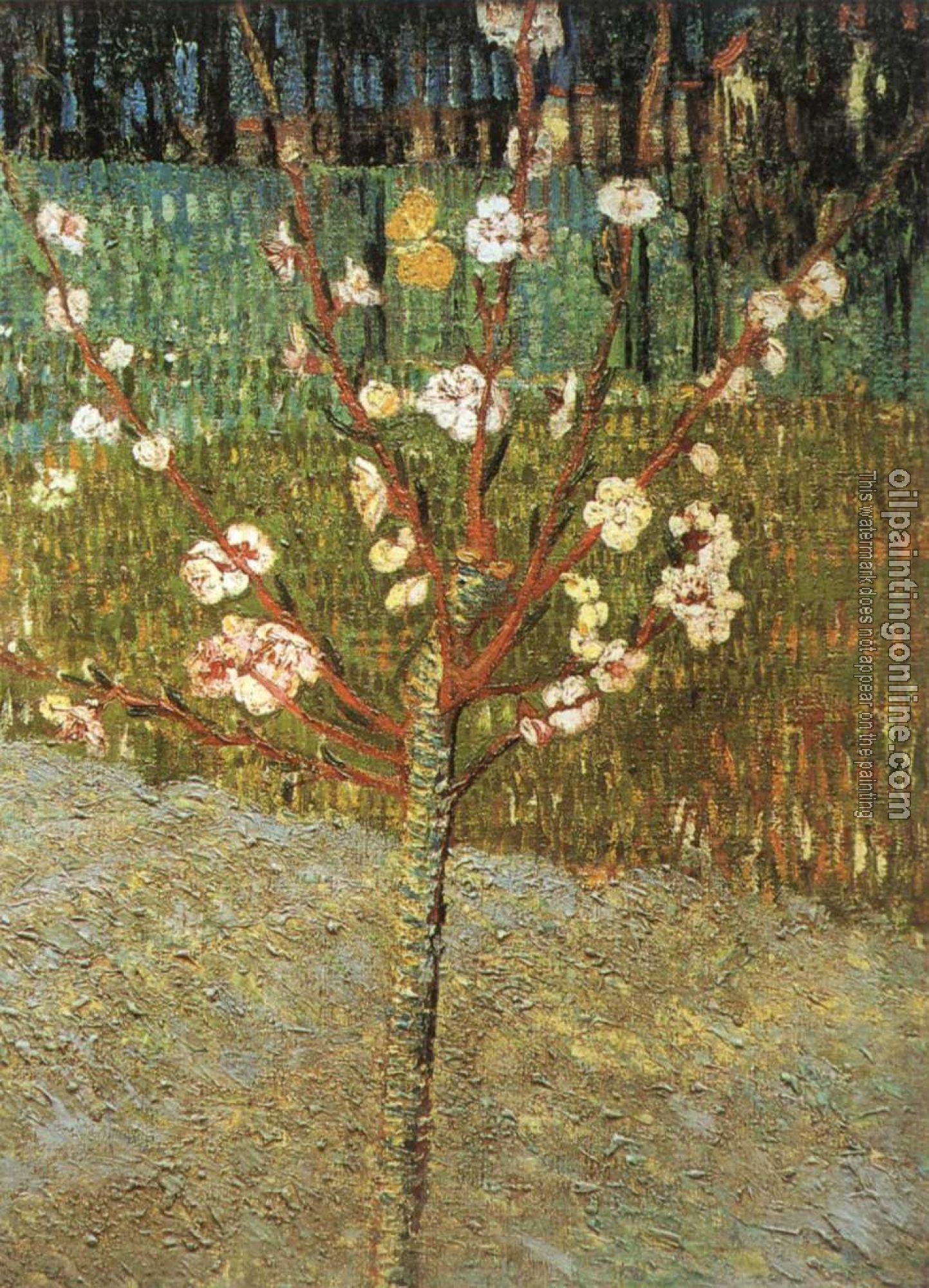 Gogh, Vincent van - Flowering Almond Tree